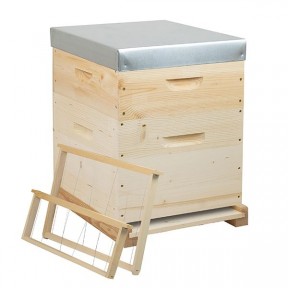 Rucheco Dadant 12 cadres droit files