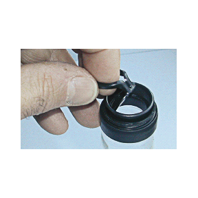 Capsule verplast 29 x 21 mm Vista / 10