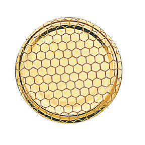 Capsule to 63 alveole le sachet de 10