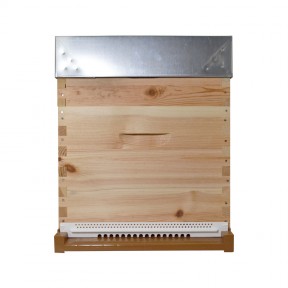 Ruche Cryptomeria Dadant 10...