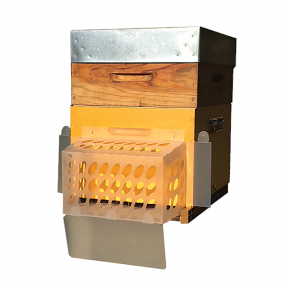 Bouclier STOP-IT anti-frelons asiatiques