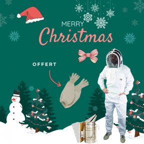 Pack Api Noël - Taille M