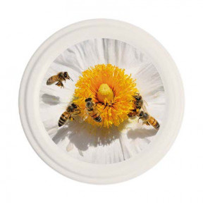 Sachet de 100 capsules TO82...