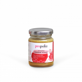 Complément alimentaire energie vitale