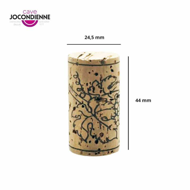 50 Bouchons REF (BRIO) 44 x 24,5 satinés - 5 ans environ