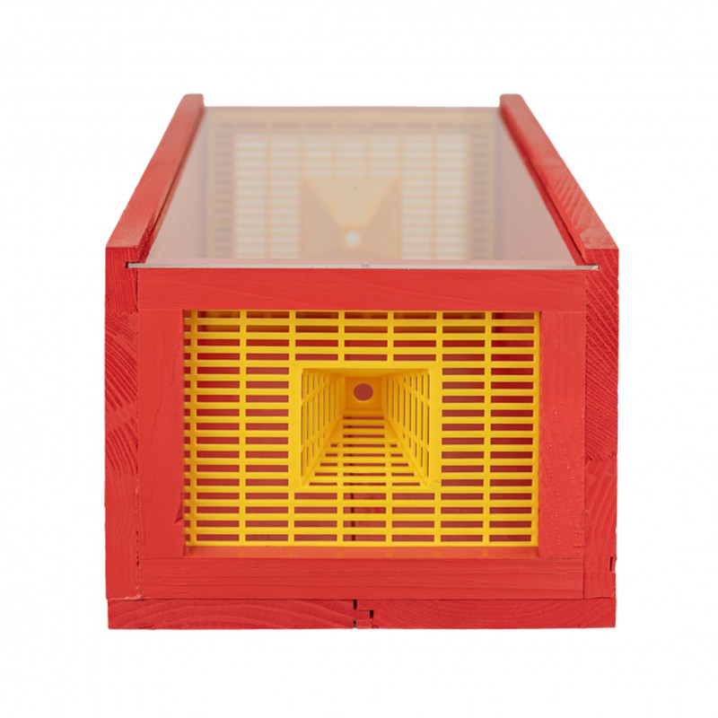 Piège à frelon asiatique Red Trap - face