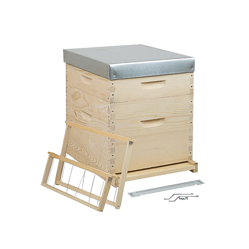 Ruche complète à tenons Dadant 10 cadres avec cadres droits - "Made In France"