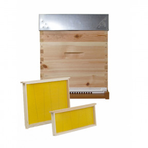 Ruche à tenons Dadant 10 cadres cirés avec plateau plastique