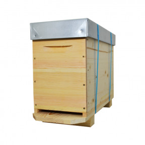 Ruchette Dadant en bois 5...