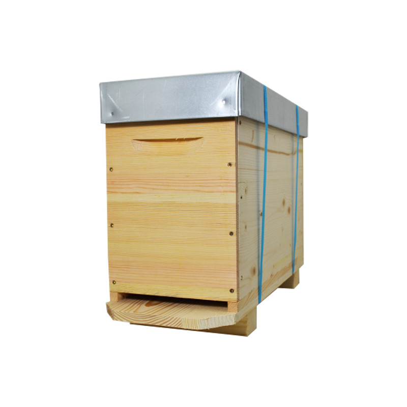Ruchette Dadant en bois 5 cadres avec accessoires - ( sans cadres)
