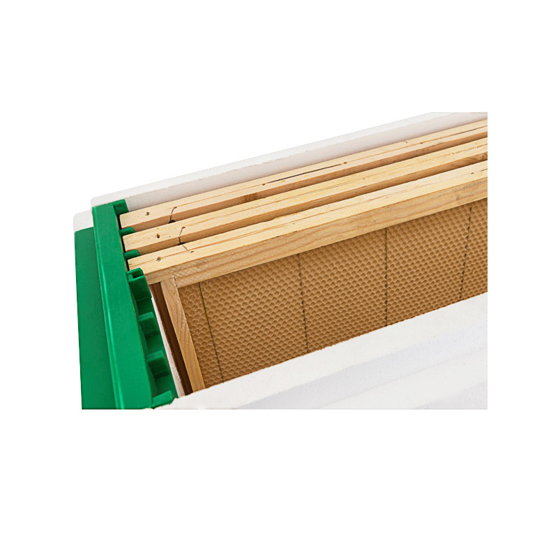 Ruchette polystyrène Dadant 6 cadres avec nourrisseur - ( sans cadres) cadres cires