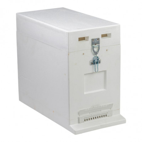 Ruchette polystyrène Dadant 6 cadres