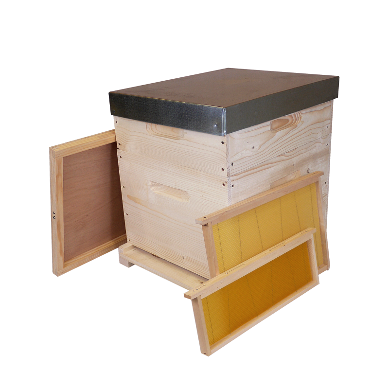 Rucheco Dadant 10 cadres garnies de cire