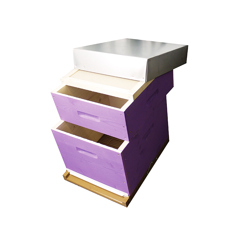 Rucheco Dadant 10 en kit lavande