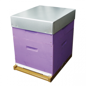 Rucheco Dadant 10 en kit lavande