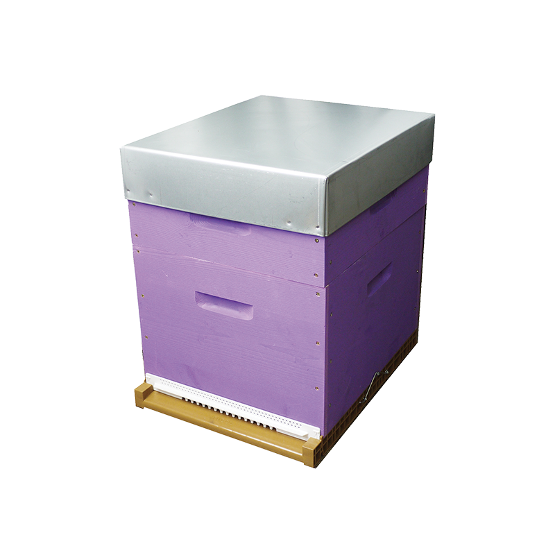 Rucheco Dadant 10 en kit lavande