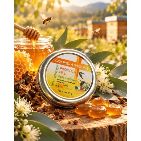 Gommes 4 saisons miel et propolis goût eucalyptus boîte 45g