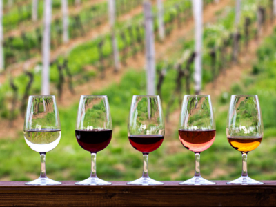 Comment reconnaître les arômes d'un vin ? 
